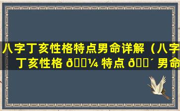 八字丁亥性格特点男命详解（八字丁亥性格 🌼 特点 🐴 男命详解大全）